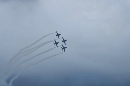 Midnight Hawks