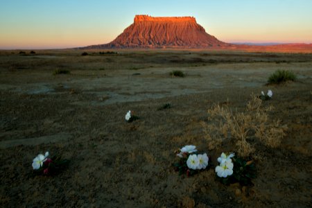 Factory Butte photo