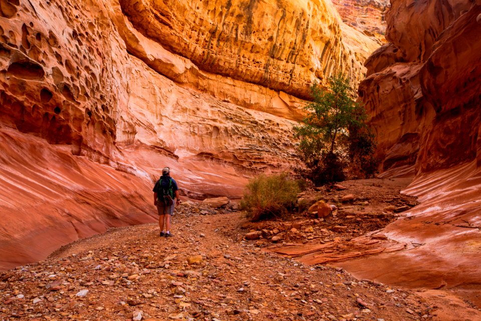 San Rafael Swell and Canyon - Crack Canyon