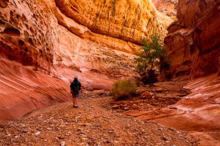 San Rafael Swell and Canyon - Crack Canyon photo