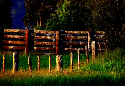 The boundry fence.