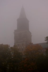 Foggy photo