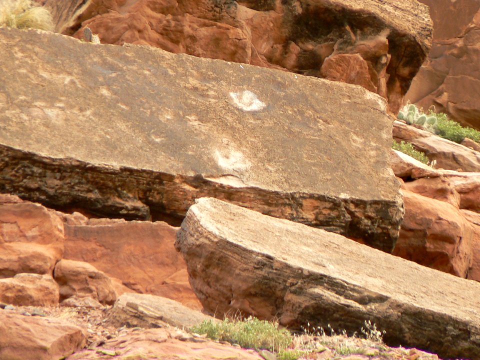 Poison Spider Tracksite