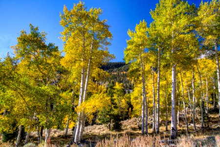 Deep Creek Mountains