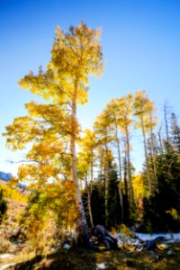 Deep Creek Mountains