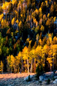 Deep Creek Mountains
