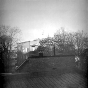 Yashicaflex-C + old Tri-X