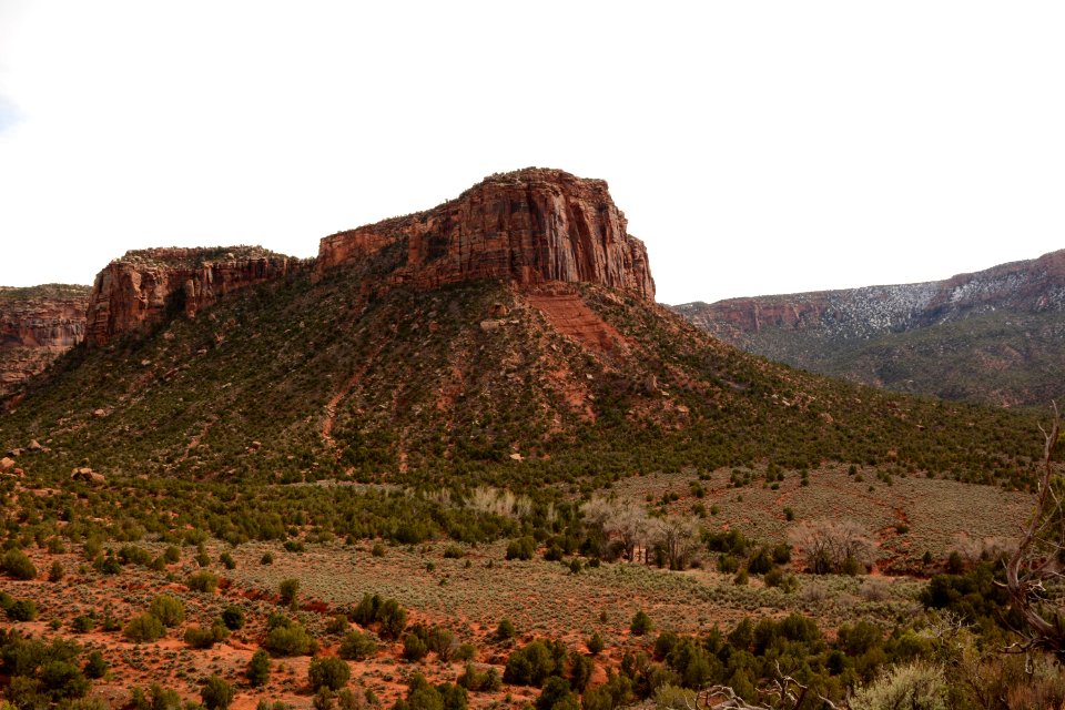 Onion Creek Trail Suth 03-14-17 22