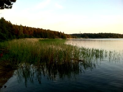 Midsommar photo