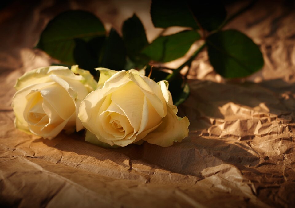 Love valentine anniversary