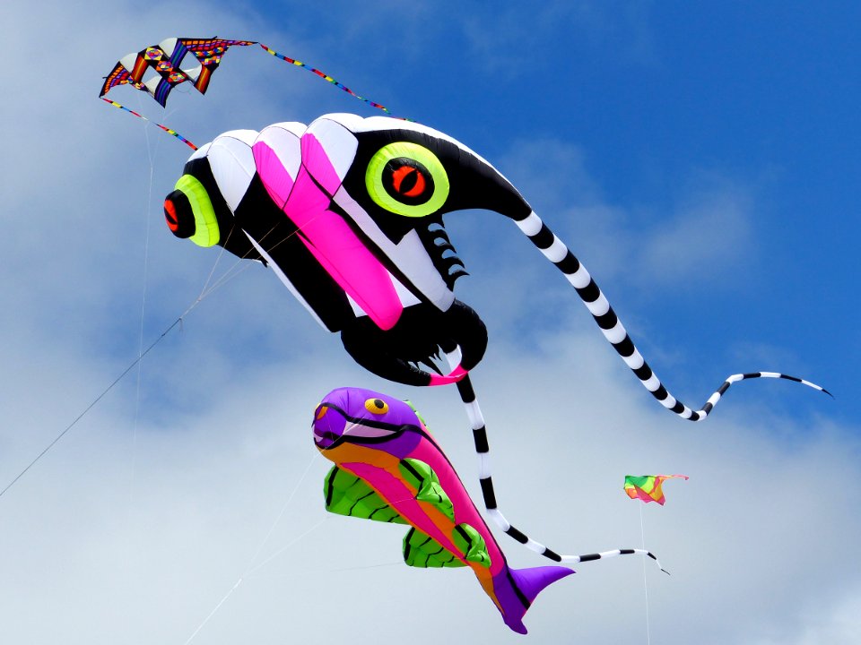 Streets Kite Day. Christchurch.NZ