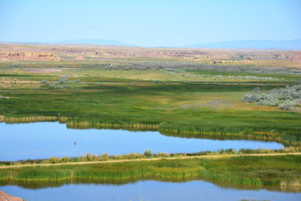Day 6: Wetlands with a view