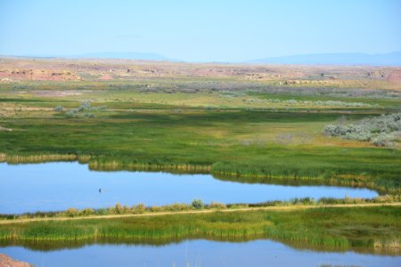 Day 6: Wetlands with a view