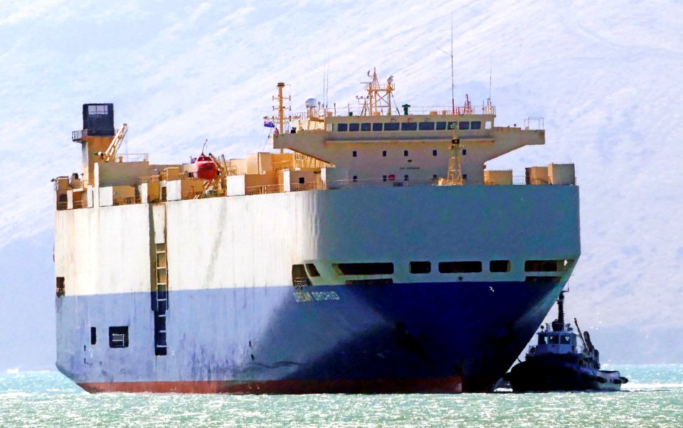DREAM ORCHID. Car carrier.*
