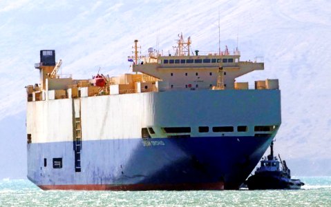 DREAM ORCHID. Car carrier.*