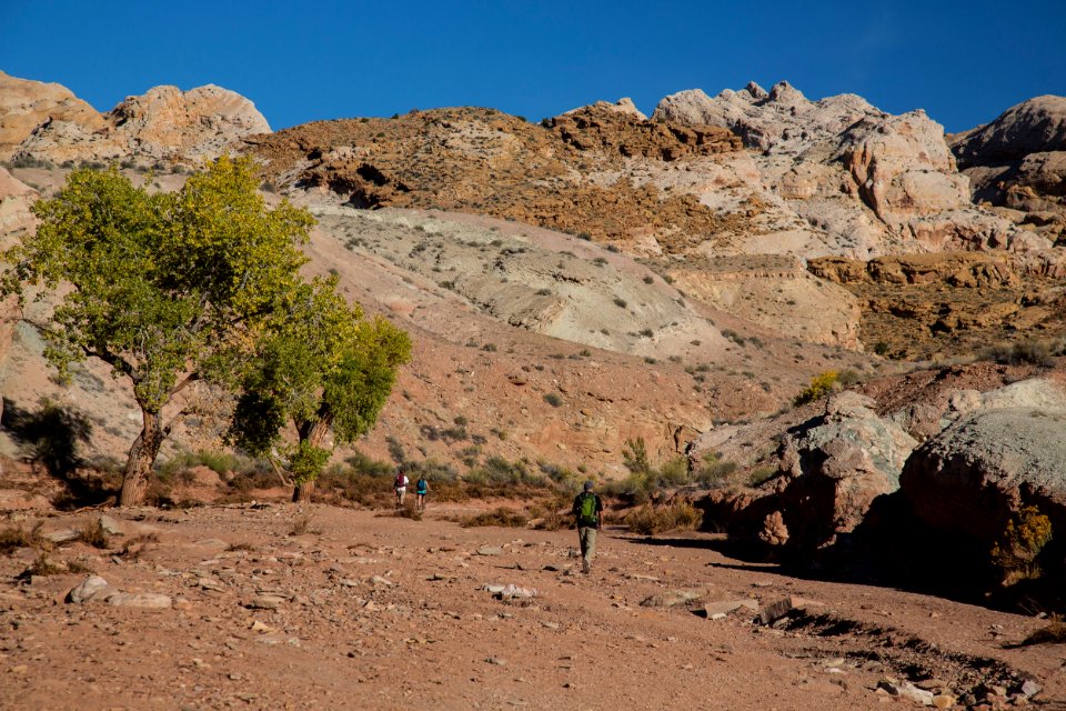 Little Wildhorse and Bell Canyons