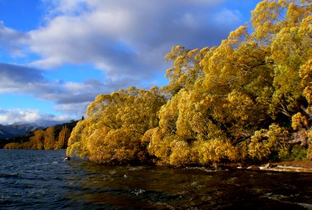 Lake Hayes Otago NZ (10) photo