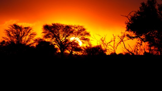 2018-01-00-Namibia-239