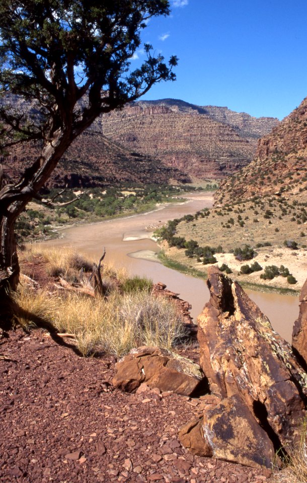 Interesting geology at Desolation Canyon