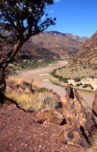 Interesting geology at Desolation Canyon photo