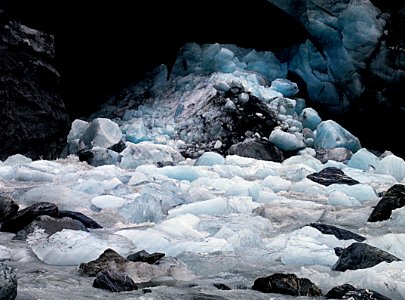 Fox Glacier NZ photo