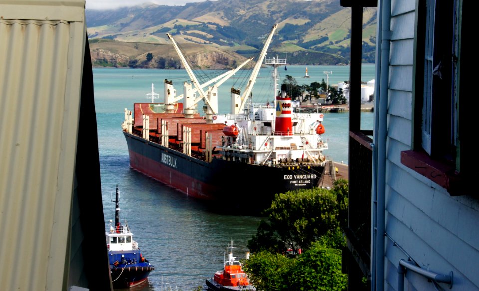 Echo Vanguard Bulk carrier.