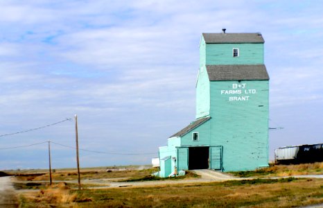Grain elevators. Alberta. photo
