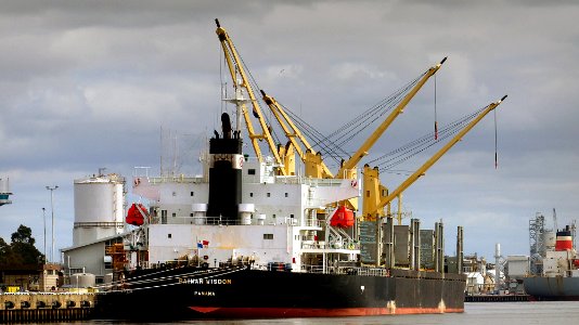 PAIWAN WISDOM. Bulk Carrier photo