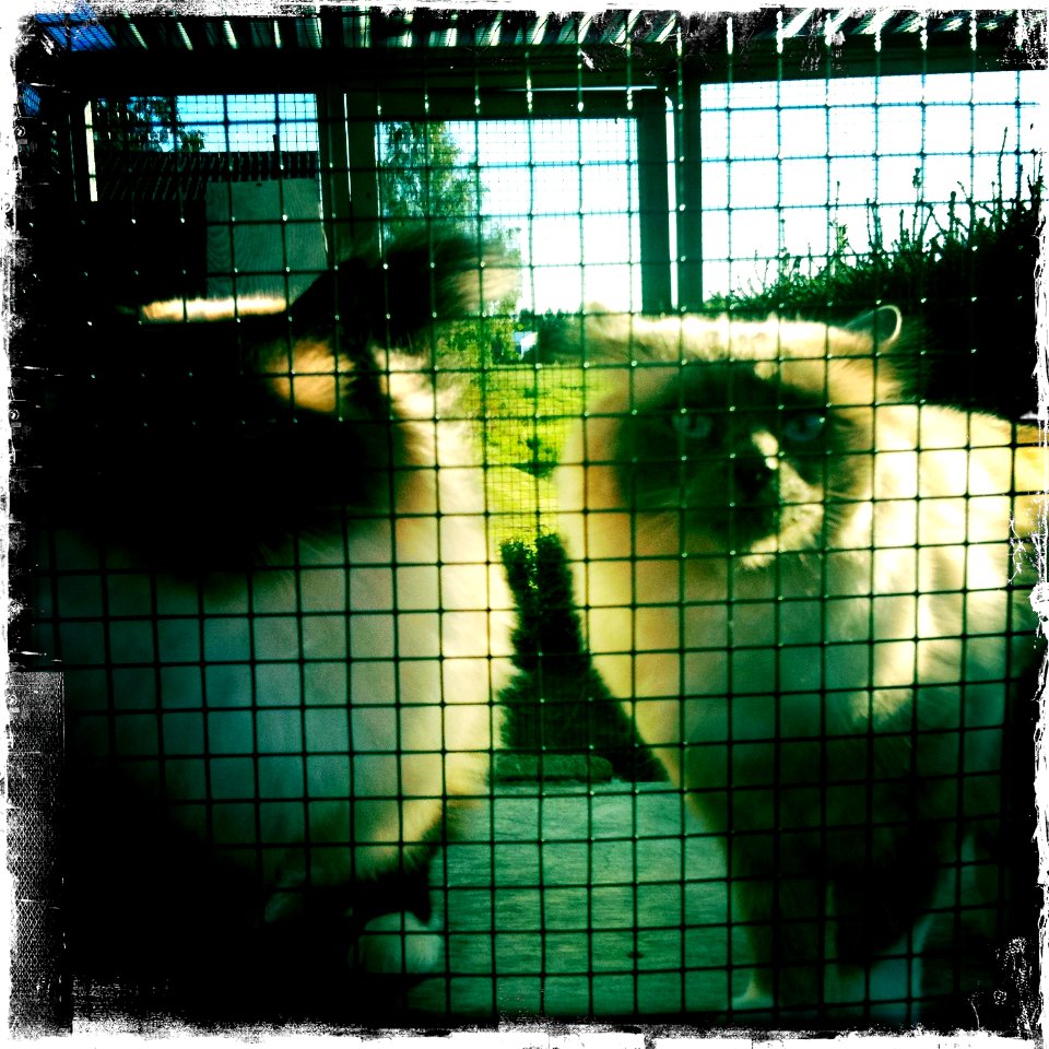 We Want the Fish and We Want It Now!