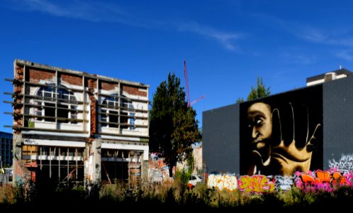 Urban Art Christchurch. photo