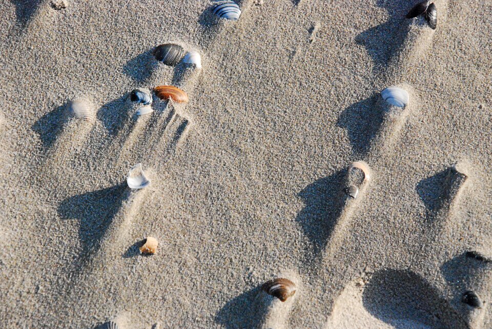 Sand beach vacations summer