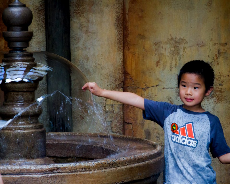 Animal Kingdom (6 of 16)