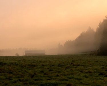 Foggy Morning photo