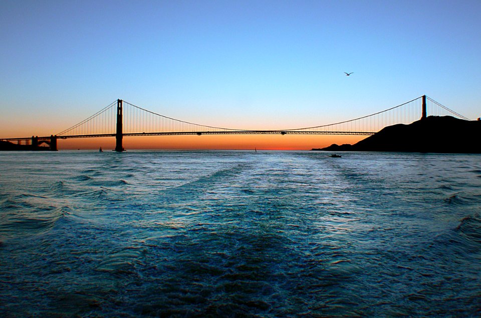The Golden Gate Bridge. (15)