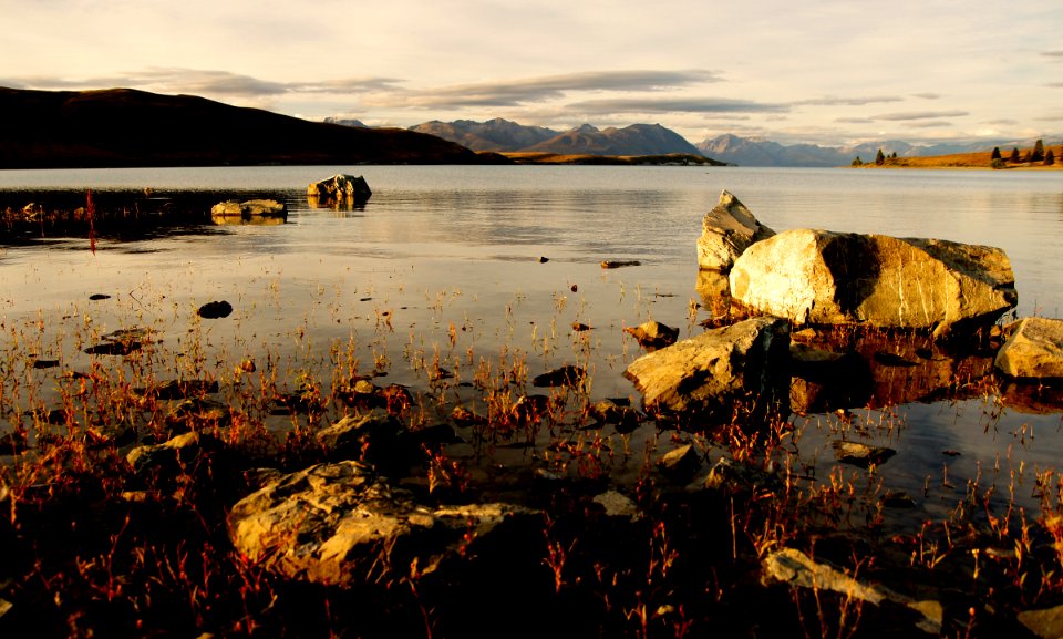 Evening at Lake Tekapo.