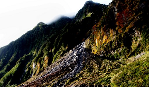 Westland National Park NZ photo