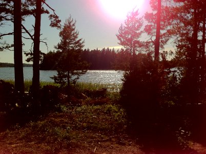 Midsommar