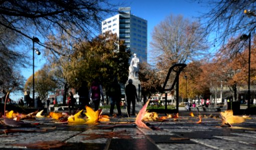 Autumn Victoria Square. photo