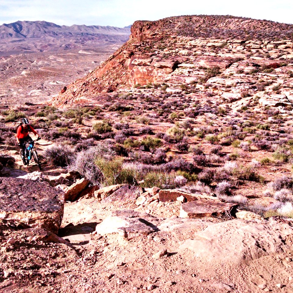 Santa Clara River Reserve