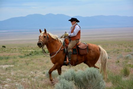 Pony Express photo