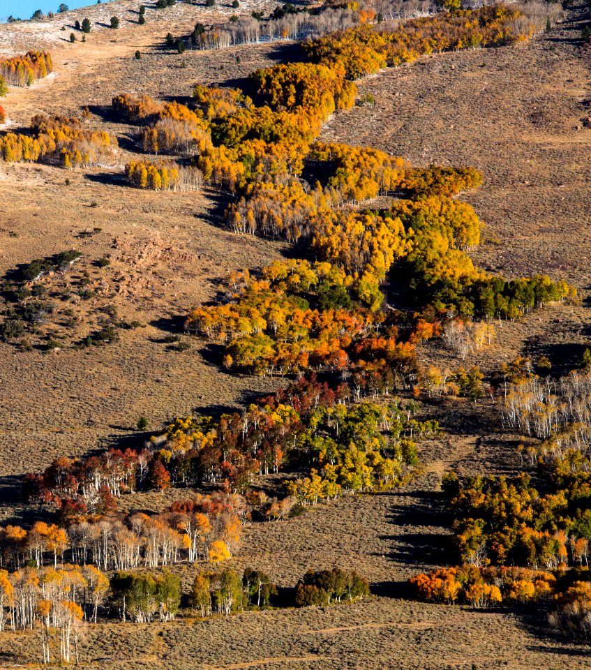 Deep Creek Mountains