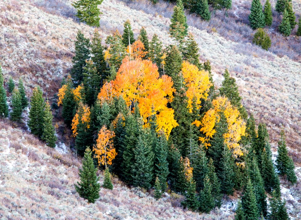 Deep Creek Mountains
