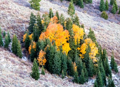 Deep Creek Mountains