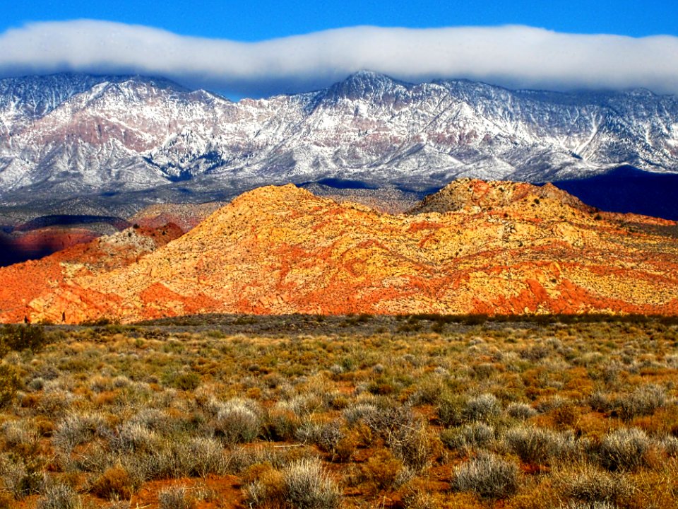 Cottonwood Canyon Wilderness 2