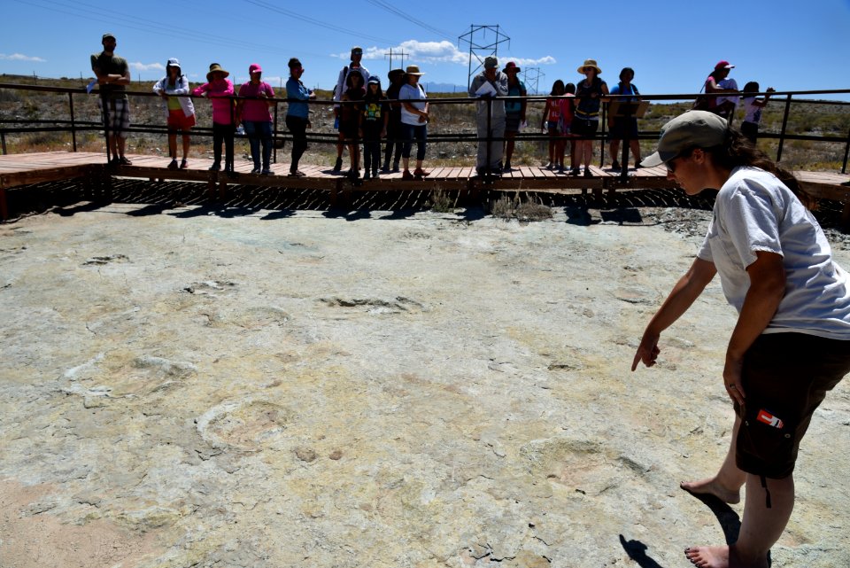 Paleontologist ReBecca Hunt-Foster talks tracks at Mill Canyon Track Site in Moab. Photo by BLM-UT