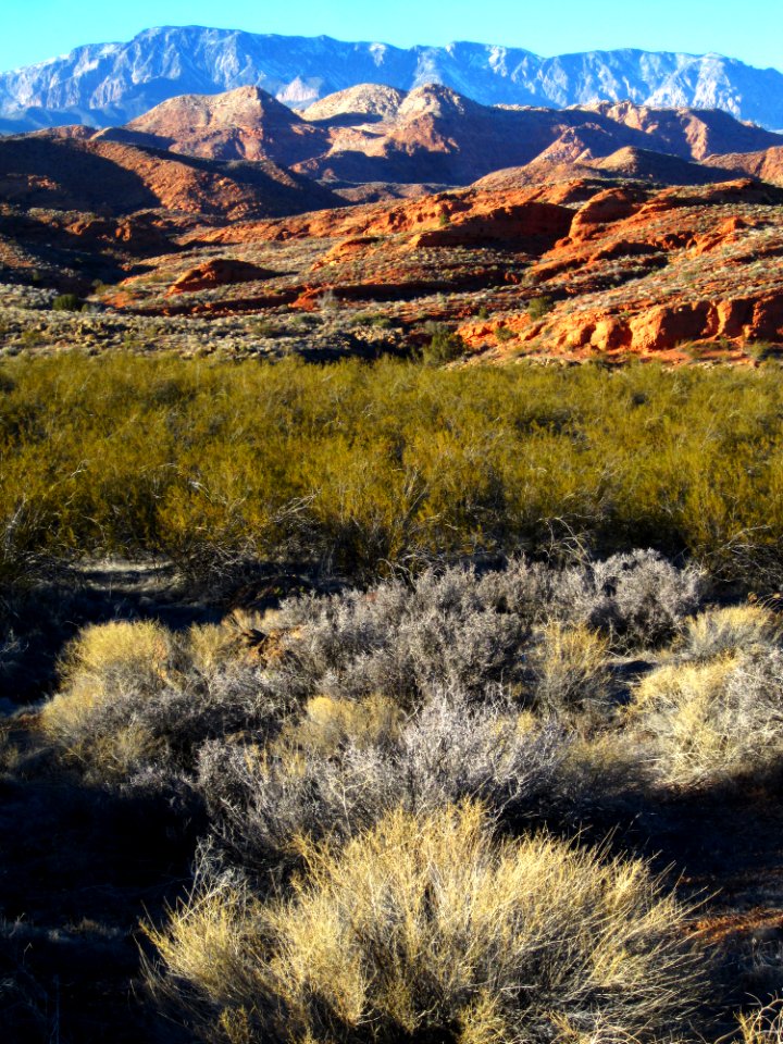 Cottonwood Canyon Wilderness photo