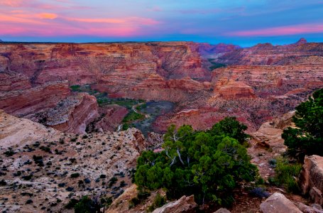 Wedge Overlook photo