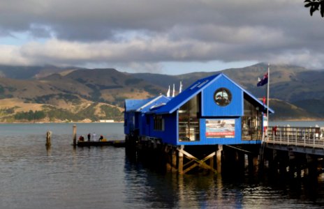 The wharf Akaroa.NZ. photo