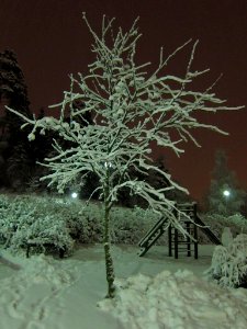 Every branch covered