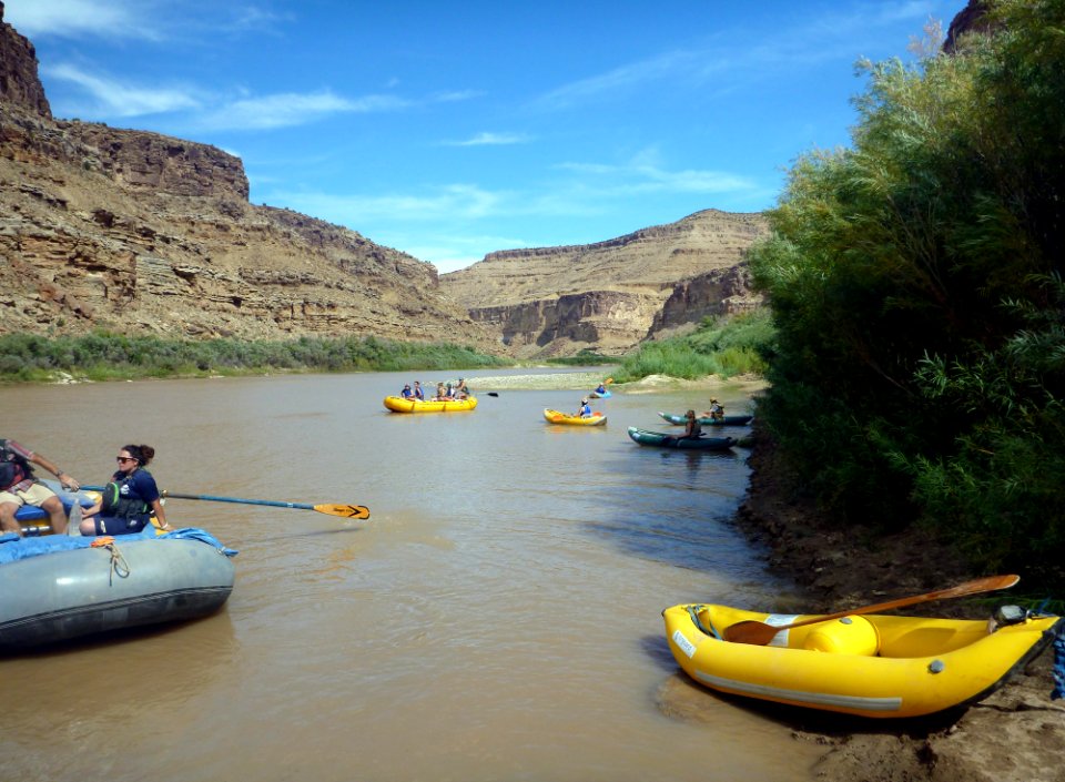 Price: Green River cleanup (3)